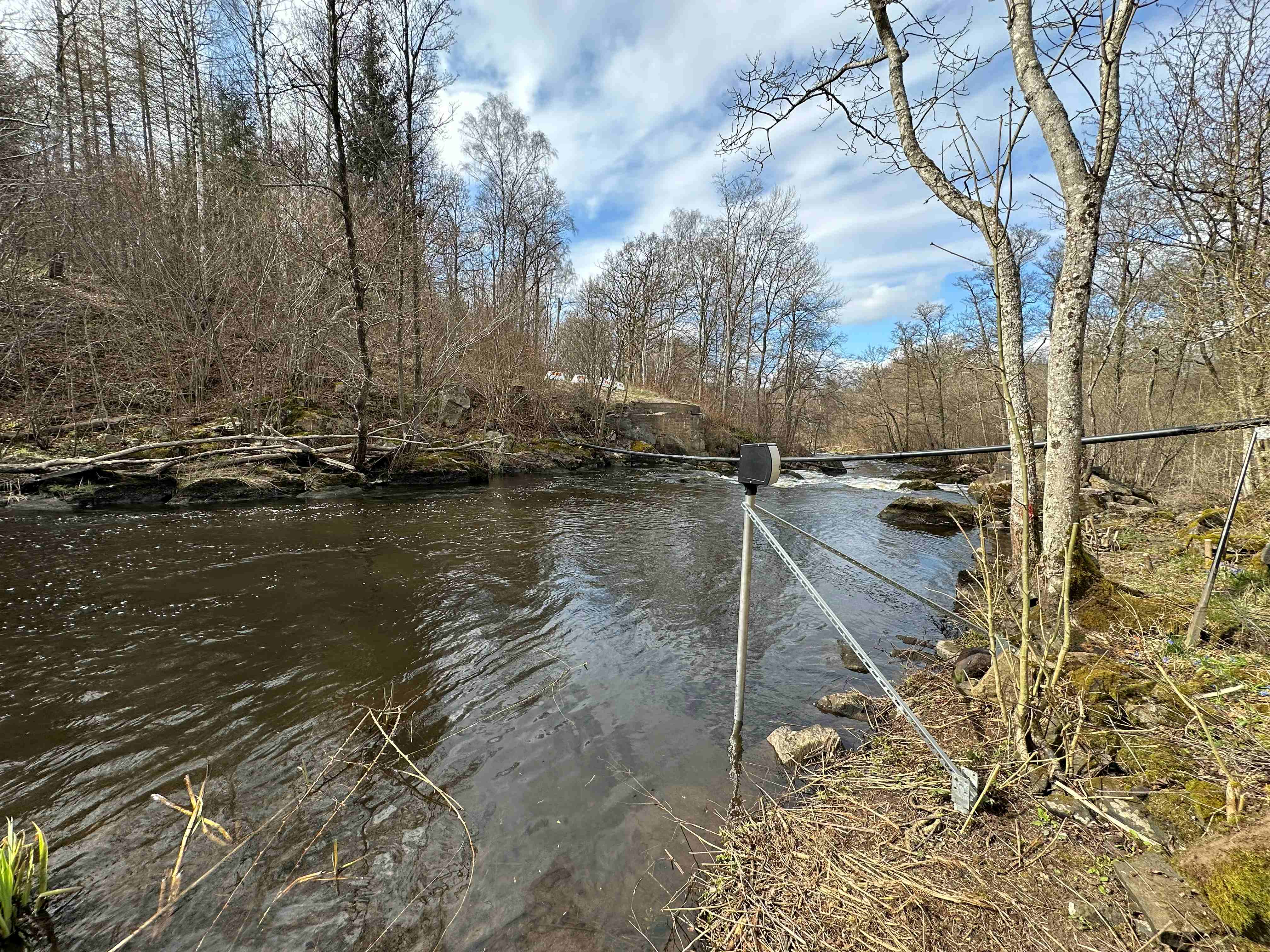 Forsmöllan, Rönne å